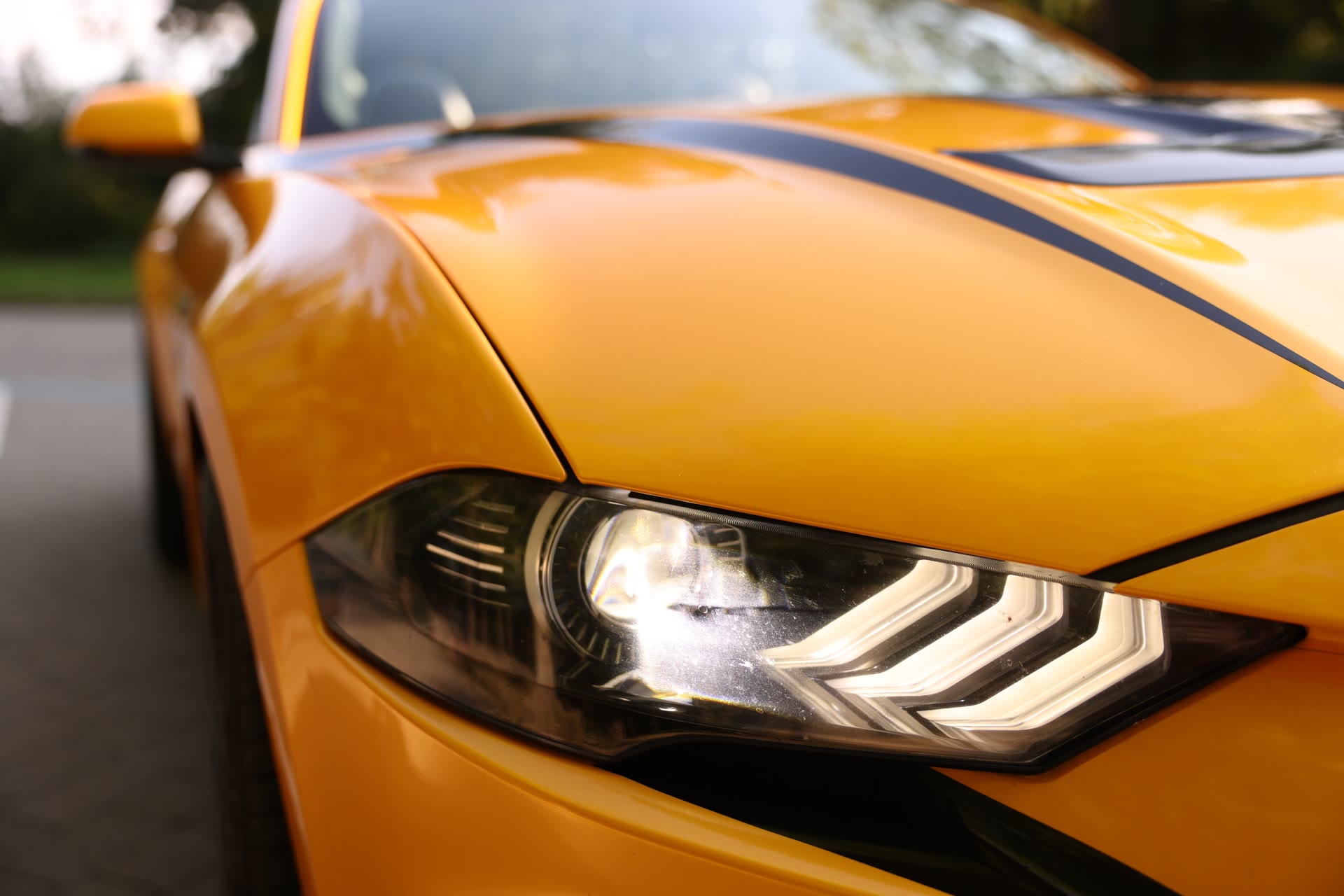 White Glove Delivery
